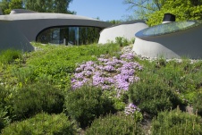 Бионический дом с зеленой кровлей 