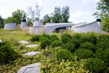 Бионический дом с зеленой кровлей 