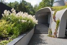 Бионический дом с зеленой кровлей 