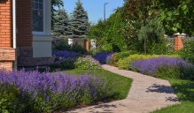 Реконструкция сада