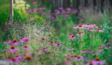 Управление проектом и авторский надзор