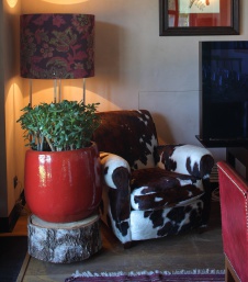 Фото интерьера лаунжа загородного ресторана в стиле фьюжн