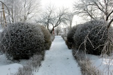 Фото ландшафта