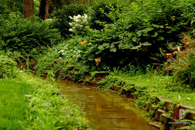 Фото ландшафта