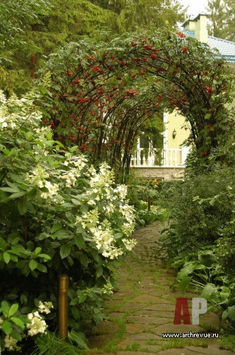 Фото ландшафта