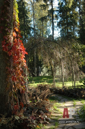 Фото ландшафта